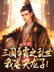 穿到三国争霸之乱世，我卷哭龙子！