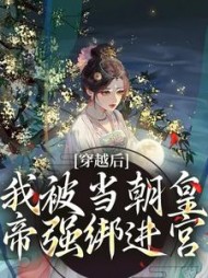 穿越后，我被当朝皇帝强绑进宫最新