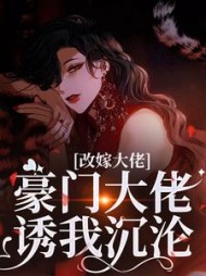改嫁大佬,豪门大佬诱我沉沦阅读