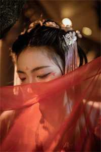 《落在枝头凤凰是个断翅（BDSM 性虐）》by魏承泽（完结1v1番外10）