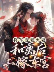 将军宠妾灭妻，和离后二嫁东宫阅读