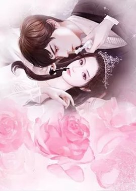 苏念傅南御小说