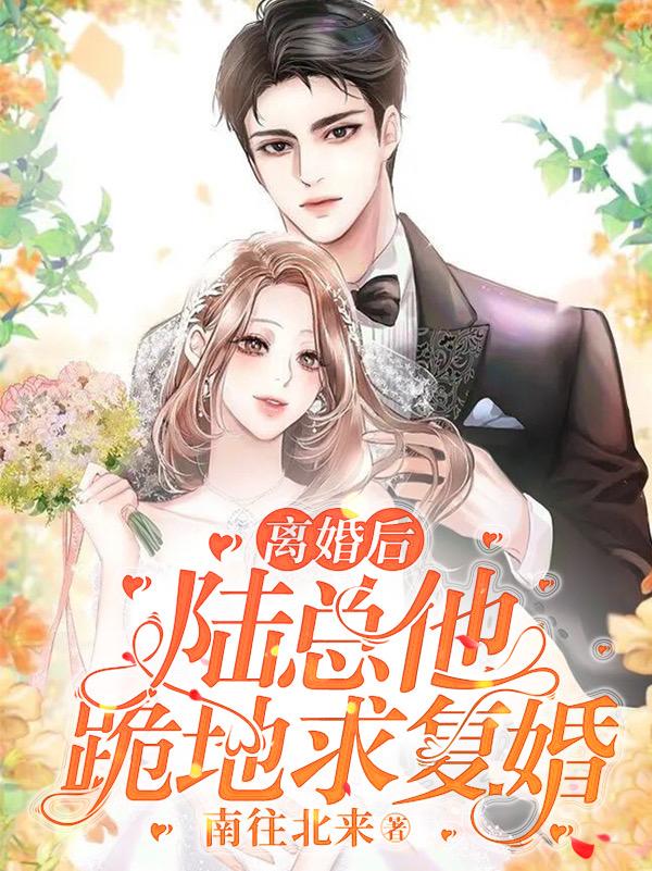 离婚后陆总他跪地求复婚