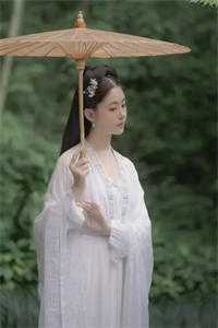 《蝶翼掠过无尽月光》厉明锋顾绮月