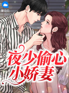 夜少偷心小娇妻沈琦夜墨轩