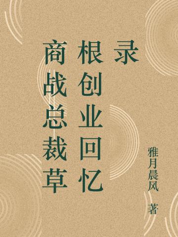 商战总裁草根创业回忆录