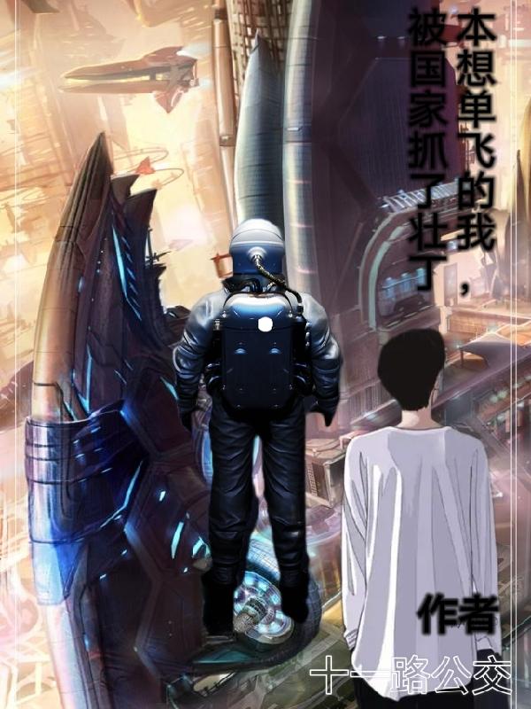 本想单飞的我，被国家抓了壮丁