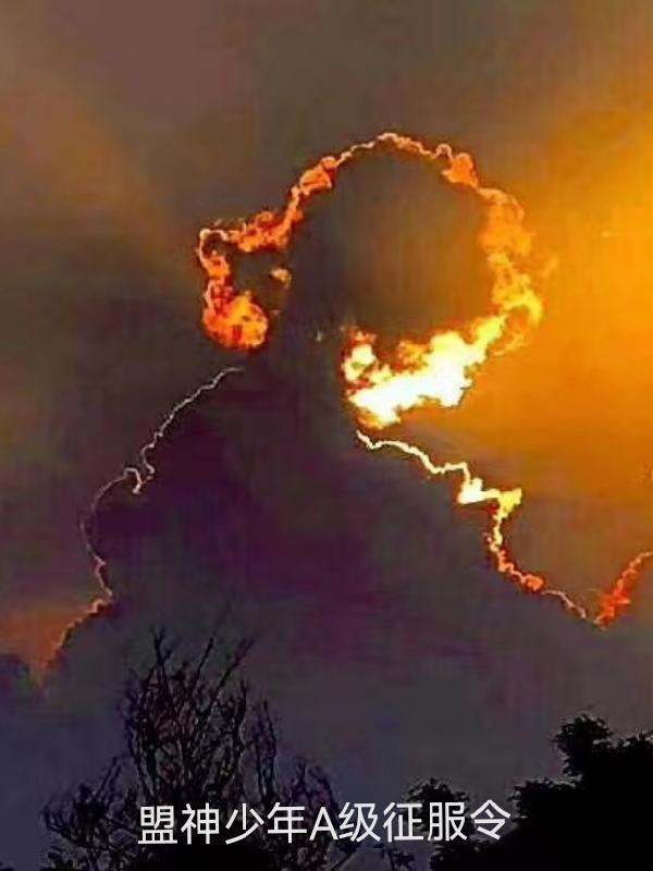 盟神少年A级征服令